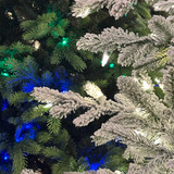 Christmas Tree Lighting - What You Need to Know