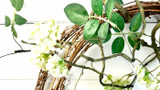 Trendspotting - Grapevine