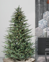 How to Decorate the Beautiful Victorian Fir?