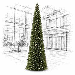 Slim Tower Trees