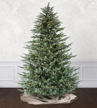 7.5' Victorian Fir Tree - PT Clear