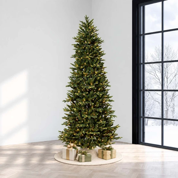 6.5' Slim Geneva Fir-Clear 