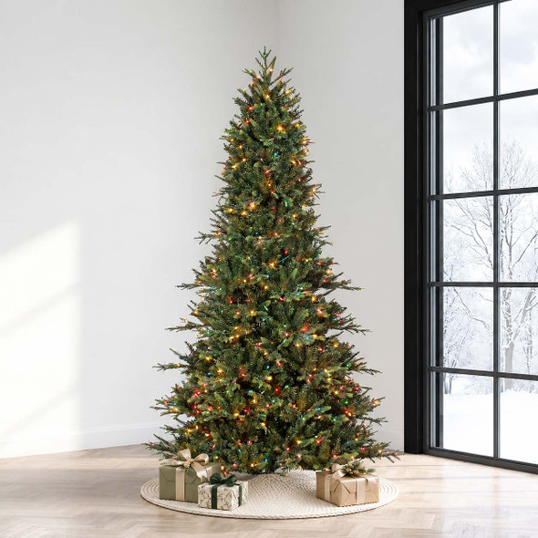 6.5' Geneva Fir Tree Multi