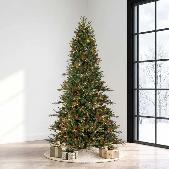  6.5' Geneva Fir Tree Multi 