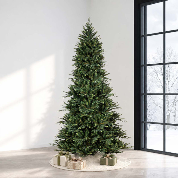  6.5' Geneva Fir- Unlit 