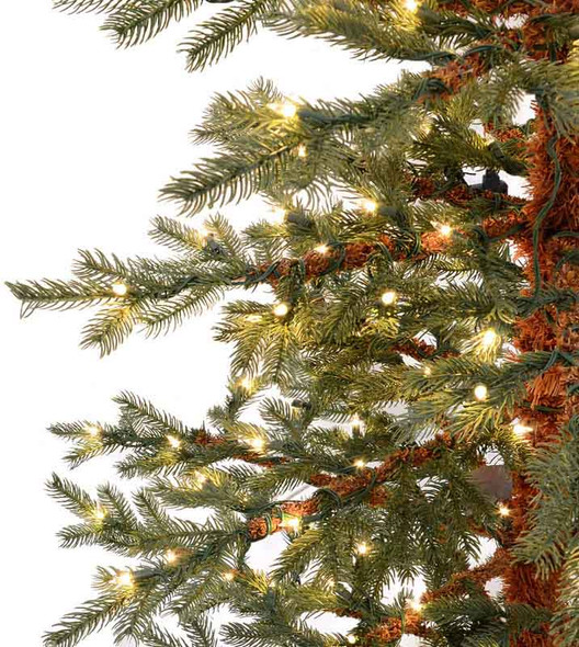  7.5' Fanfare Fir Tree - Clear 