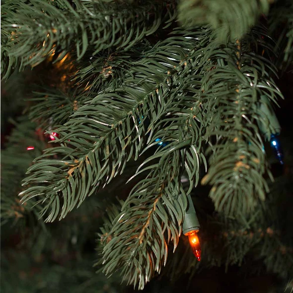6.5' Waverly Spruce Tree - PT Multi