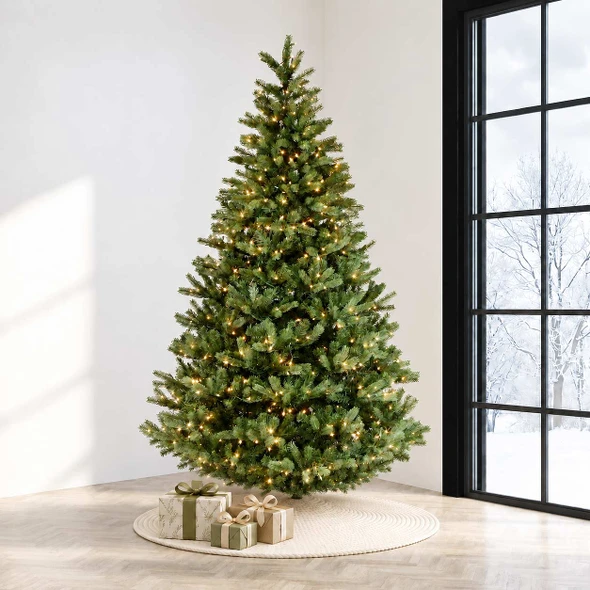 7.5' Waverly Spruce-PT Clear 