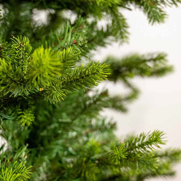 7.5' Slim Wexford Tree - Unlit 