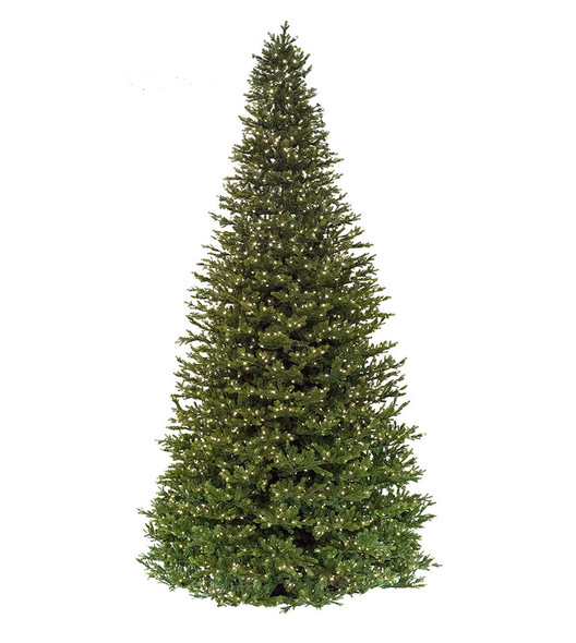 10' Midland Wexford Spruce - Clear LED