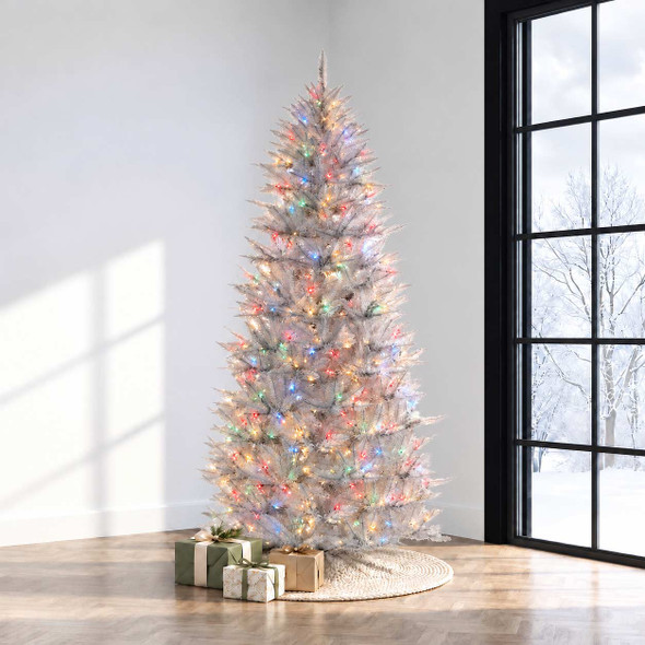 7.5' White Spruce Tree - Multi
