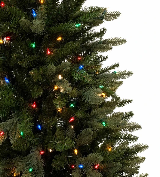 9' Slim Serena Spruce Tree - Multi 