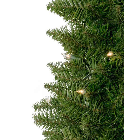 5' Arrow Spruce Tree - Clear 