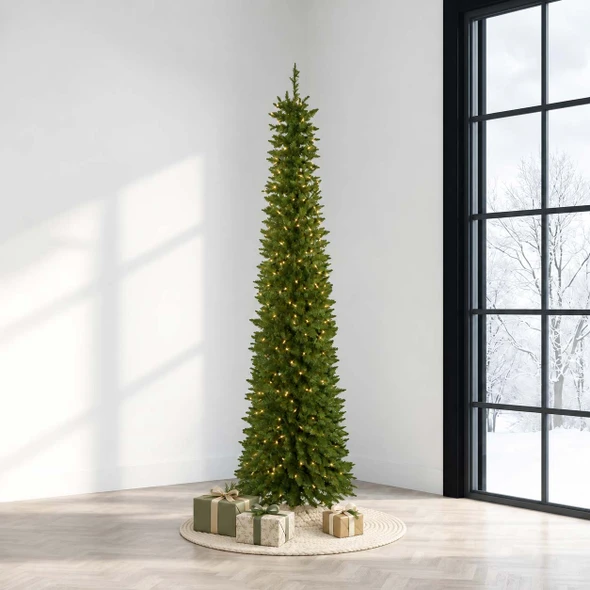 9' Arrow Spruce Tree - Clear 