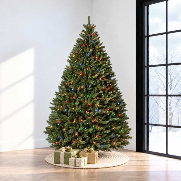 9' Bellevue Balsam Tree - Multi