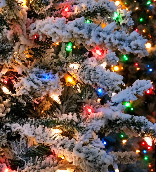 9' Flocked White Forest Tree - Multi LED 