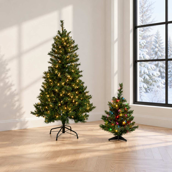 Colorado Spruce 