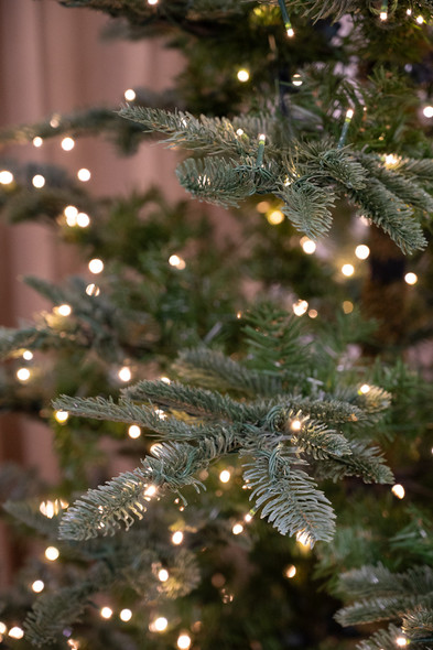 5' Scandinavian Fir Tree w/PP - Clear Micro LED