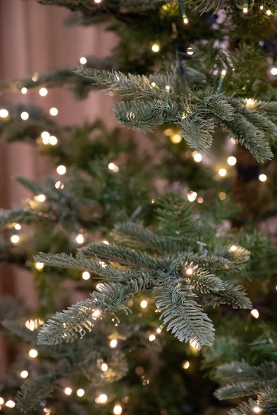 7.5' Scandinavian Fir Tree w/PP - Clear Micro LED 