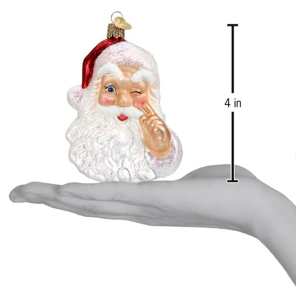 Night-Before-Christmas-Santa-Ornament-alt-002.JPG