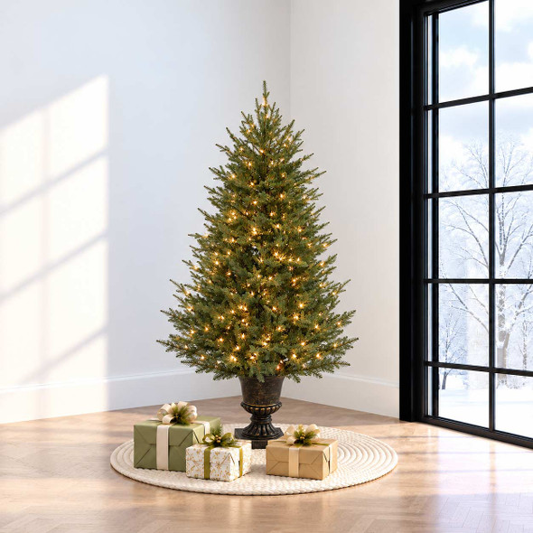 4.5' Potted Cumberland Fir Tree - Clear 