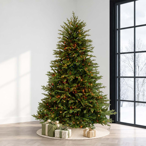 7.5' Cumberland Fir Tree - Multi 