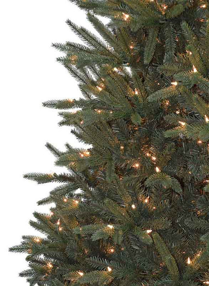 5' Stockton Spruce-Multi 
