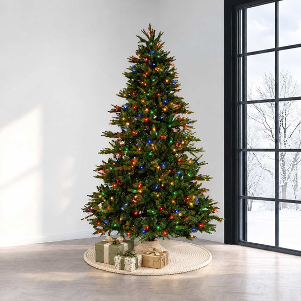 6.5' Stockton Spruce Tree - Multi