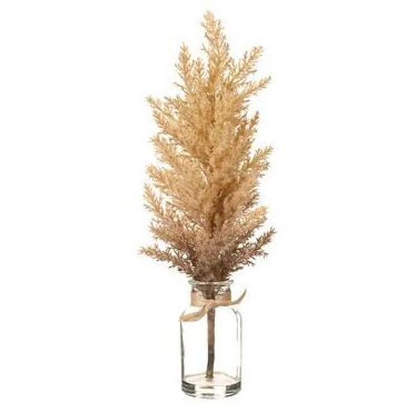 Pampas-Grass-in-Glass-Vase-main-001.JPG