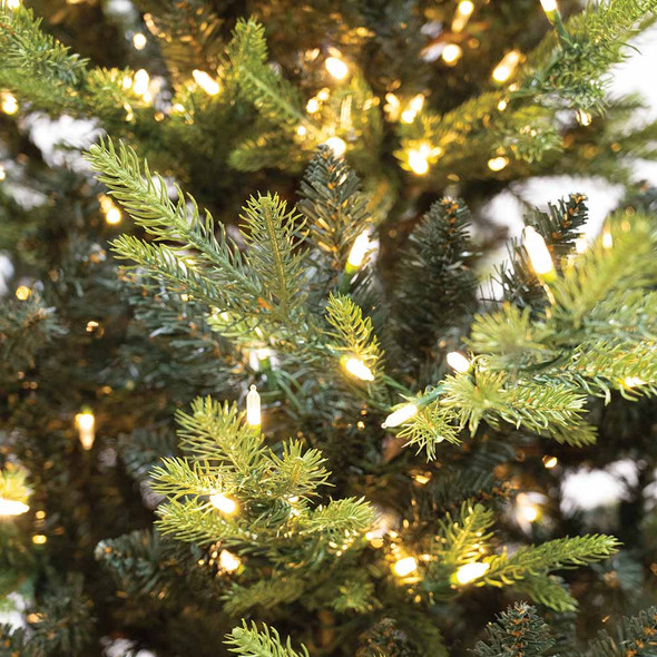 Western Balsam Fir