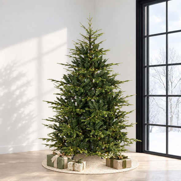 Western Balsam Fir 