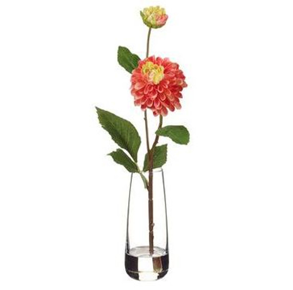 Dahlia-Pick-in-Glass-Vase-main-001.JPG