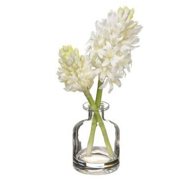 White-Hyacinth-in-Glass-Vase-main-001.JPG