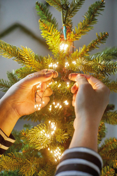 LED-Warm-White-8-Micro-Tree-Bunch-Light-Set-With-Green-alt-006.jpg