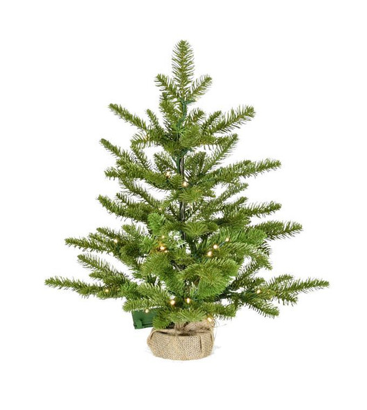 3' Northern Noble Fir Tree - Battery-Operated Clear 