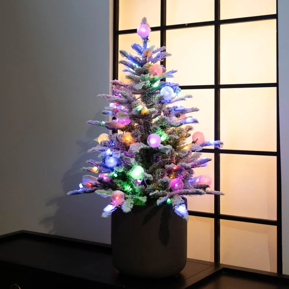 3' Anaheim Fir Potted Tree - Clear LED ColorChange Lights 