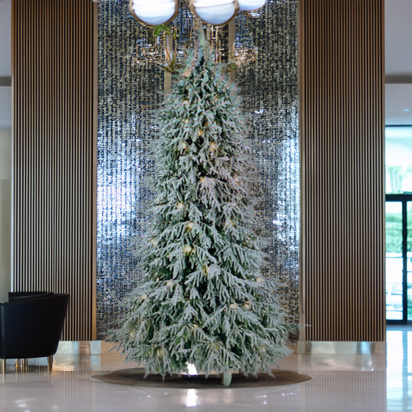 7.5' Frosted Norfolk Pine Tree - CLEAR 5mm LED