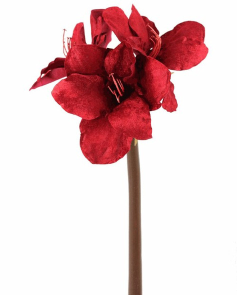 20" Red Velvet Amaryllis Spray