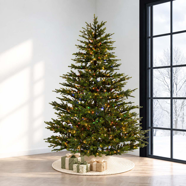 Victorian Fir 