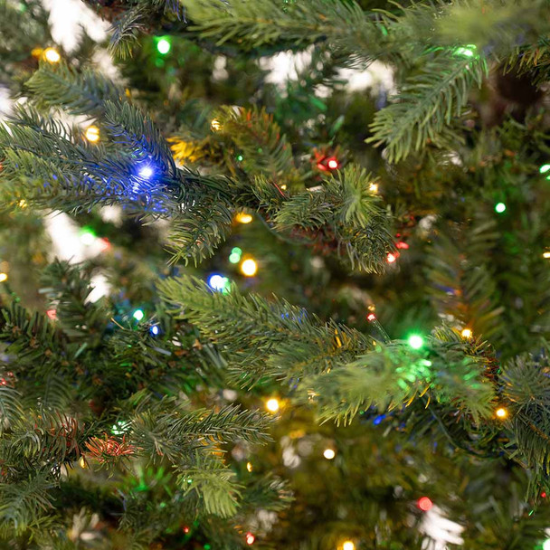 Victorian Fir 