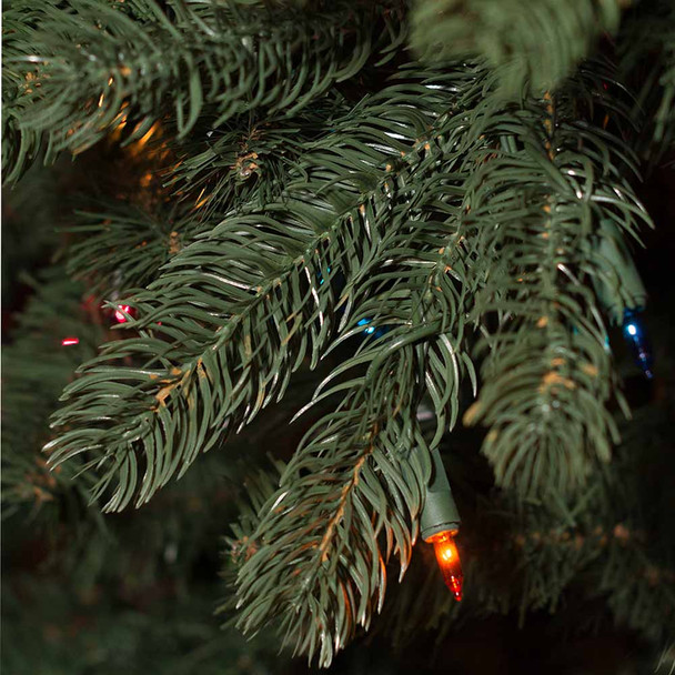 10' Waverly Spruce - PT Multi 