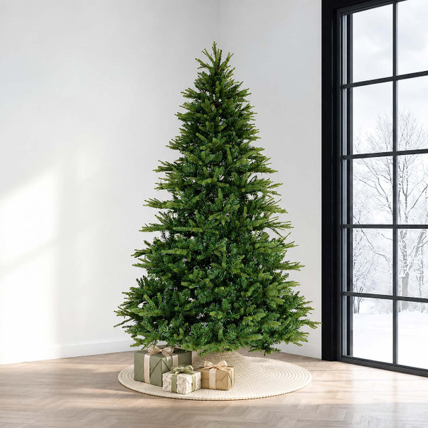 Stockton Spruce 
