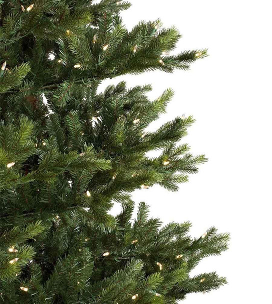 10' Midland Wexford Spruce - Clear LED 