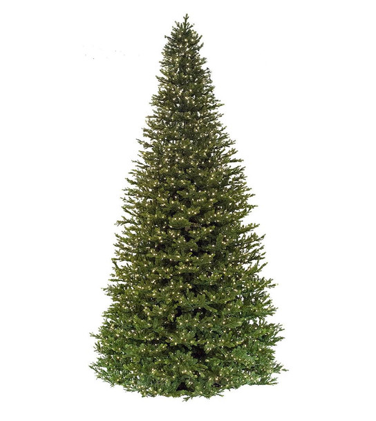 10' Midland Wexford Spruce - Clear LED 