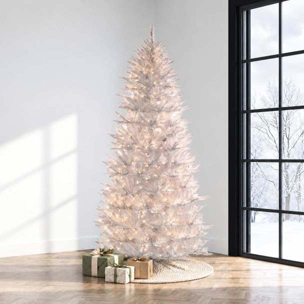 7.5' White Spruce Tree - Multi 