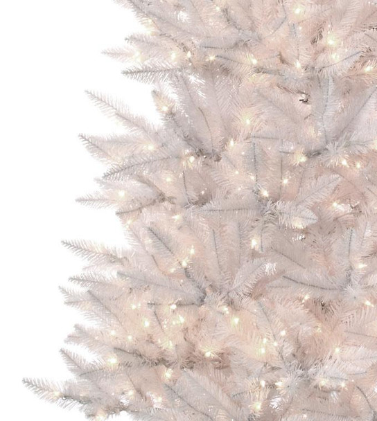 7.5' White Spruce Tree - Multi 