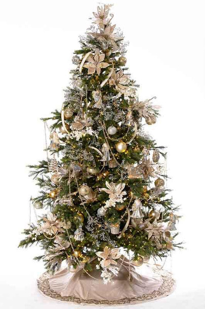 Enchanted White Spruce 