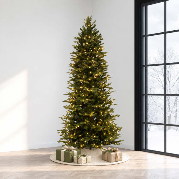 Slim Anderson Fir 