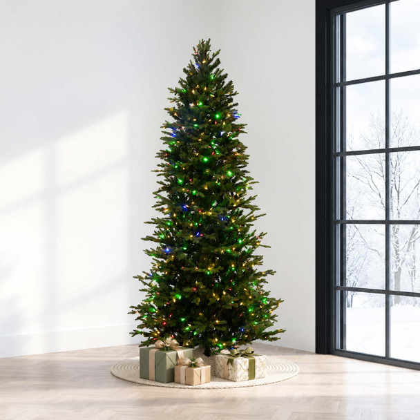 Slim Anderson Fir 