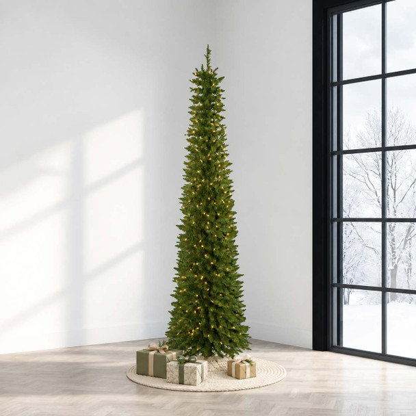 4' Arrow Spruce Tree - Clear 